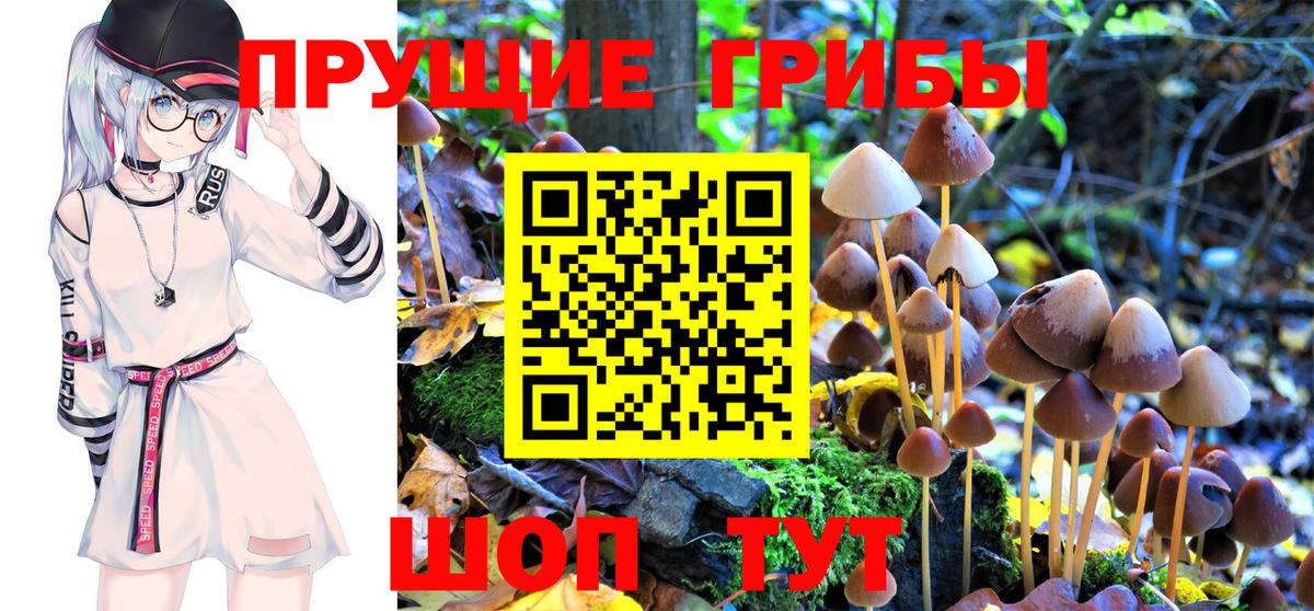 Псилоцибиновые грибы Magic Shrooms Стерлитамак