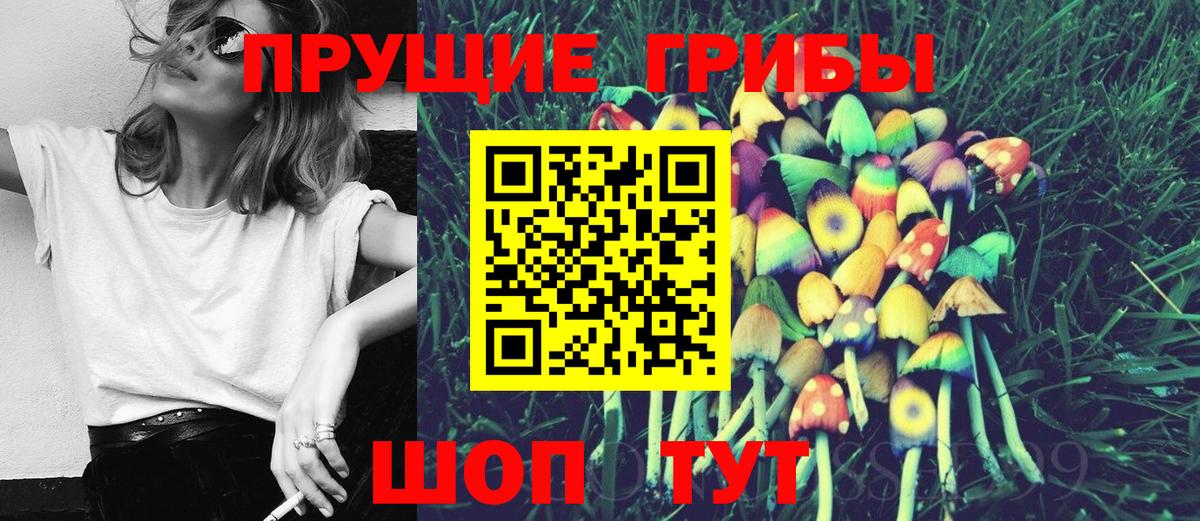 Стерлитамак  Галлюциногенные грибы мицелий  Вход с VPN 